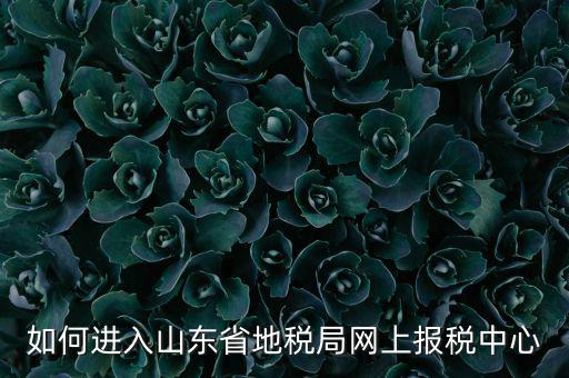 山東地稅密碼是什么，我在山東地稅網(wǎng)上報稅密碼怎么查