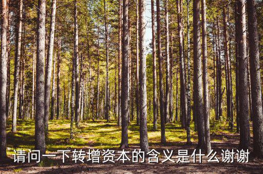 什么是利潤(rùn)轉(zhuǎn)增資，什么叫轉(zhuǎn)增資本通俗一點(diǎn)越白話越好