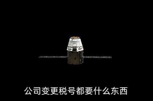 什么情況下變更稅號，公司變更稅號都要什么東西