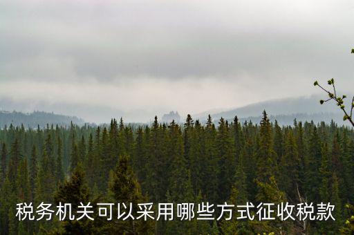 稅務(wù)局按什么征收稅務(wù)，稅務(wù)機(jī)關(guān)可以采用哪些方式征收稅款