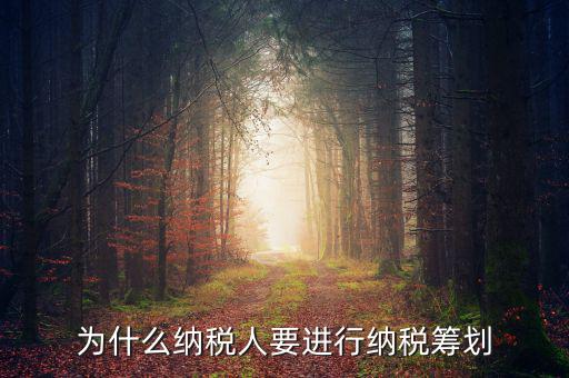 為什么要進行稅收規(guī)劃，為什么納稅人要進行納稅籌劃