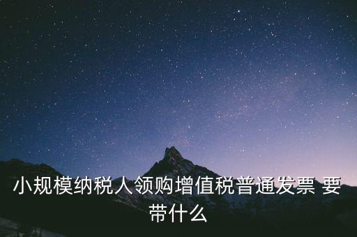 小規(guī)模納稅人領購增值稅普通發(fā)票 要帶什么