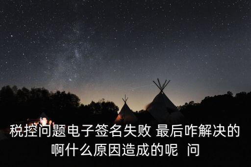 什么是稅控簽名，報(bào)稅時(shí)數(shù)字簽名是甚么意思