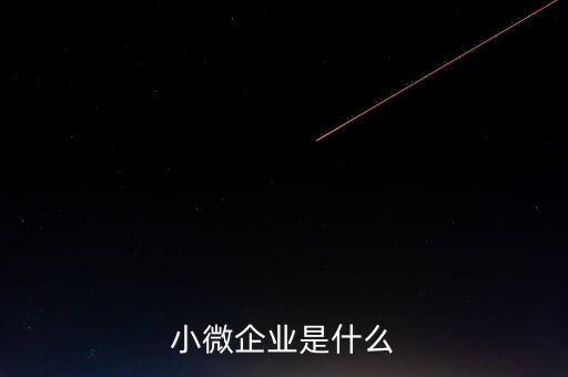 小微企業(yè)包括什么，小微企業(yè)是什么