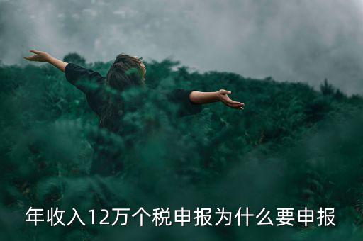 為什么12萬個(gè)稅申報(bào)表，12萬以上個(gè)人所得稅申報(bào)是什么意思