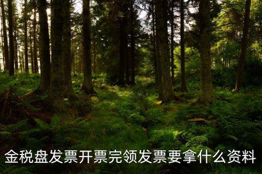金稅盤發(fā)票開(kāi)票完領(lǐng)發(fā)票要拿什么資料