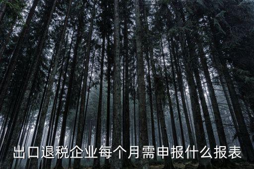 出口退稅每月需做什么申報，外貿企業(yè)第一次申報出口退稅需要準備哪些資料