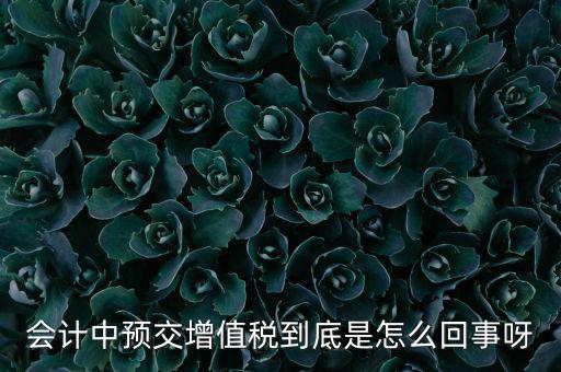 會計中預交增值稅到底是怎么回事呀