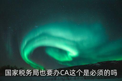 國(guó)稅ca是什么意思，短信提示我使用的國(guó)稅ca過(guò)期了什么個(gè)意思