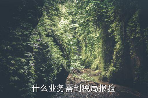 什么是稅務(wù)報驗，地稅發(fā)票報驗是什么回事啊 怎么報驗什么時候報驗啊