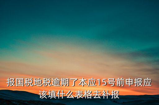 報國稅地稅逾期了本應(yīng)15號前申報應(yīng)該填什么表格去補(bǔ)報