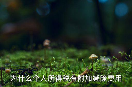 個(gè)稅減除費(fèi)用是什么，個(gè)人所得稅費(fèi)用扣除什么意思