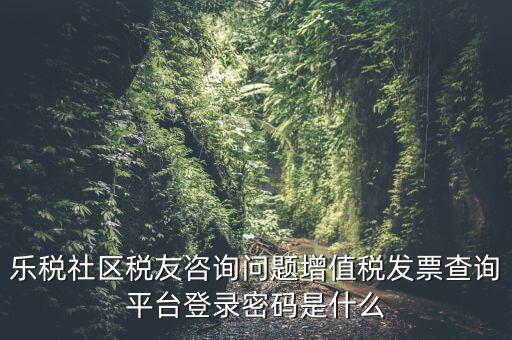 發(fā)票認(rèn)證平臺(tái)登陸密碼是什么，國稅局發(fā)票軟件里用戶代碼和密碼是什么