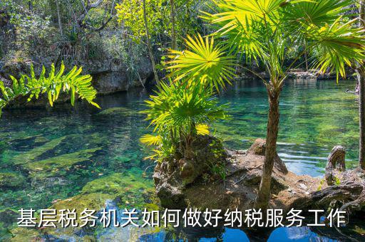 納稅服務(wù)是指什么，納稅服務(wù)的三個(gè)主體是什么