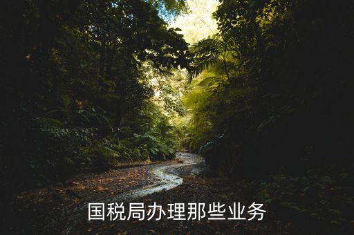 國地稅通辦做什么業(yè)務，財務人員到國稅和地稅一般是做哪些業(yè)務