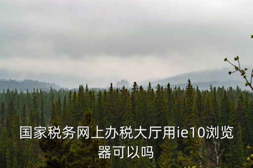 國稅網(wǎng)上申報用什么瀏覽器，山東國稅網(wǎng)上申報系統(tǒng)需要什么瀏覽器