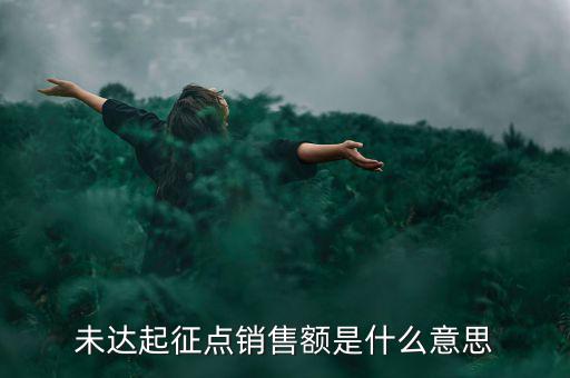 未達起征點通知書什么意思，打印稅務(wù)事項通知書未達起征點通知需要什么材料