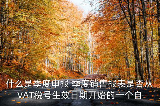 什么是季度申報(bào)表，有關(guān)企業(yè)申報(bào)的季度報(bào)表