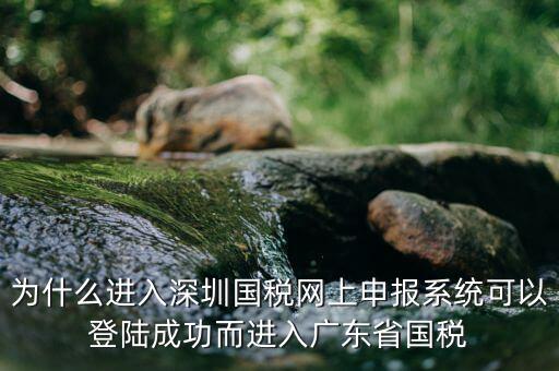 為什么進(jìn)入深圳國(guó)稅網(wǎng)上申報(bào)系統(tǒng)可以登陸成功而進(jìn)入廣東省國(guó)稅