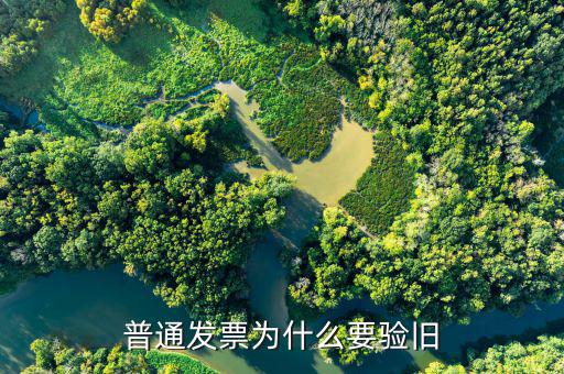 普票驗舊驗什么，發(fā)票驗舊是什么意思