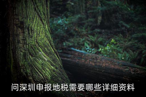 深圳市的地稅申報(bào)是什么，深圳市地稅怎么申報(bào)