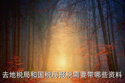 國(guó)稅報(bào)稅需要什么材料，去地稅局和國(guó)稅局報(bào)稅需要帶哪些資料