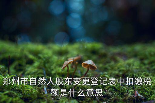 扣繳稅款登記是什么意思，應(yīng)當(dāng)按照稅收征管法等有關(guān)規(guī)定辦理扣繳稅款登記領(lǐng)取扣繳憑