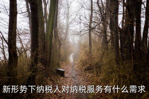 納稅服務(wù)的要求是什么，新形勢(shì)下納稅人對(duì)納稅服務(wù)有什么需求