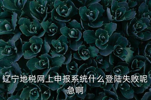 遼寧網(wǎng)上報(bào)稅為什么進(jìn)不去，遼寧地稅網(wǎng)上申報(bào)系統(tǒng)什么登陸失敗呢急啊