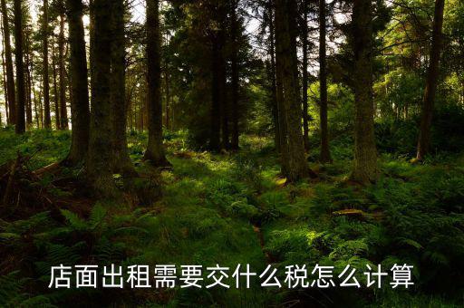 商鋪出租房屋交什么稅，商鋪出租應(yīng)交哪些稅