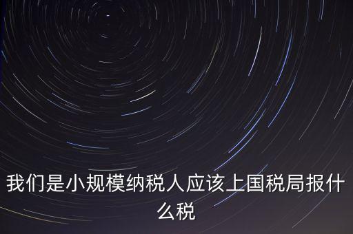 小規(guī)模要報(bào)什么稅，我想問(wèn)問(wèn)小規(guī)模納稅人報(bào)稅需要報(bào)些什么
