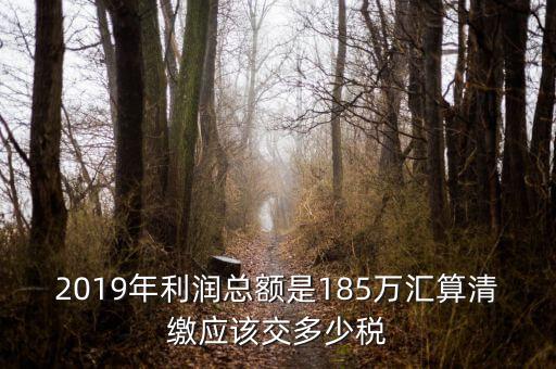 匯算清繳交什么稅，年度匯算清繳應(yīng)交稅率是多少