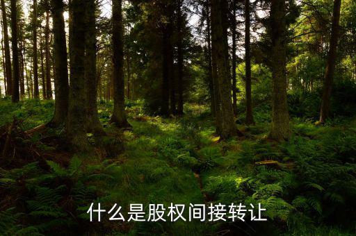 什么是股權(quán)間接轉(zhuǎn)讓，什么是股權(quán)間接轉(zhuǎn)讓