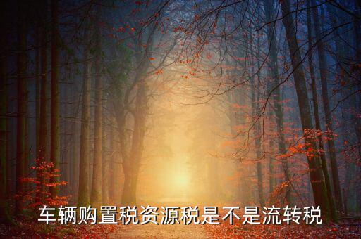 資源稅改革是什么，資源稅是地稅還是國稅