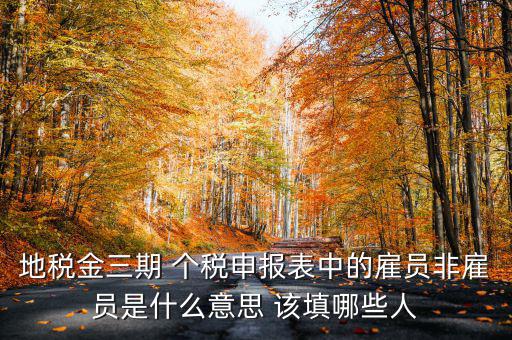 金稅四期是什么意思，地稅金三期 個稅申報表中的雇員非雇員是什么意思 該填哪些人