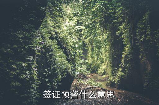 外管證預(yù)警是什么意思，外資持股預(yù)警是什么意思