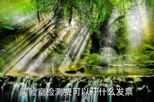 體檢費要開什么票，實驗室檢測費可以開什么發(fā)票