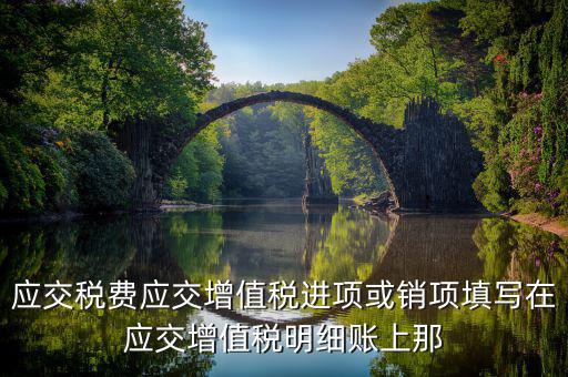 應(yīng)交稅費(fèi)應(yīng)交增值稅進(jìn)項(xiàng)或銷(xiāo)項(xiàng)填寫(xiě)在應(yīng)交增值稅明細(xì)賬上那