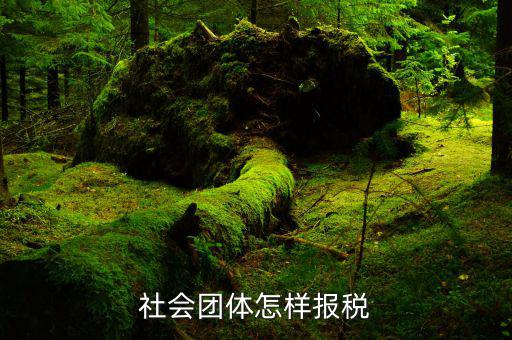 社會團體應交什么稅，社會團體納稅問題