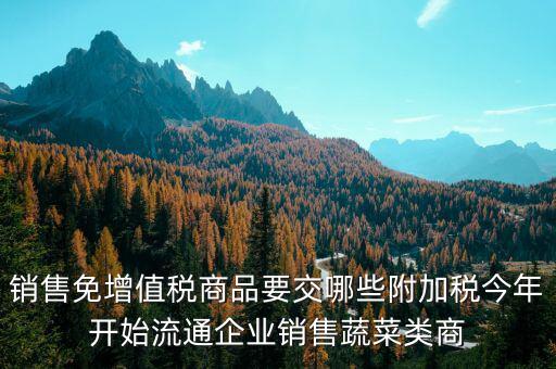 免稅商品銷售要交什么稅，銷售免增值稅商品要交哪些附加稅今年開始流通企業(yè)銷售蔬菜類商