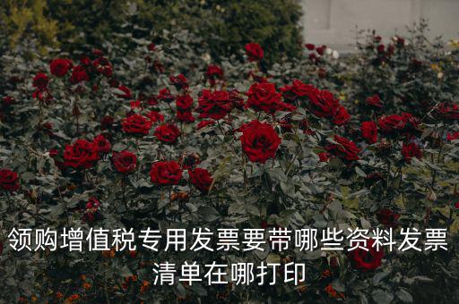 領(lǐng)購(gòu)增值稅專(zhuān)用發(fā)票要帶哪些資料發(fā)票清單在哪打印