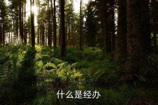 稅務(wù)文書經(jīng)辦是什么意思，什么是經(jīng)辦