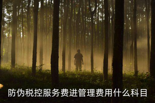 防偽稅控服務費是什么意思，繳納電子鑰匙的年費是防偽稅控服務費嗎