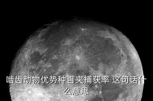 所得捕捉率是什么，餐飲業(yè)中的捕獲率是什么意思