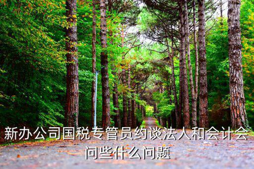國(guó)稅局約談法人問什么，新辦公司國(guó)稅專管員約談法人和會(huì)計(jì)會(huì)問些什么問題