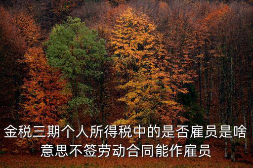金稅非雇員什么意思，地稅金三期 個稅申報表中的雇員非雇員是什么意思 該填哪些人