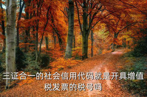 發(fā)票上社會信用代碼是什么意思，現(xiàn)在開發(fā)票要的社會信用代碼是誰的代碼