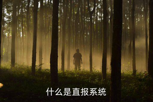 什么是稅務(wù)網(wǎng)上直報，什么是聯(lián)網(wǎng)直報企業(yè)