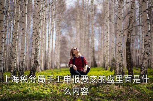 上海稅務局手工申報要交的盤里面是什么內(nèi)容