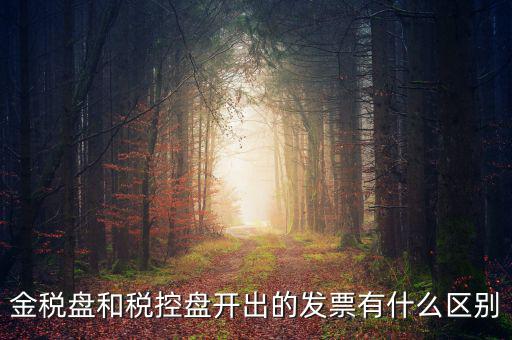 金稅盤和稅控盤是什么，金稅盤和稅控盤開出的發(fā)票有什么區(qū)別